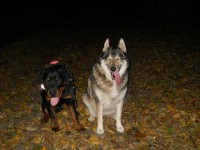 /album/aron/snimek-027h-jpg/